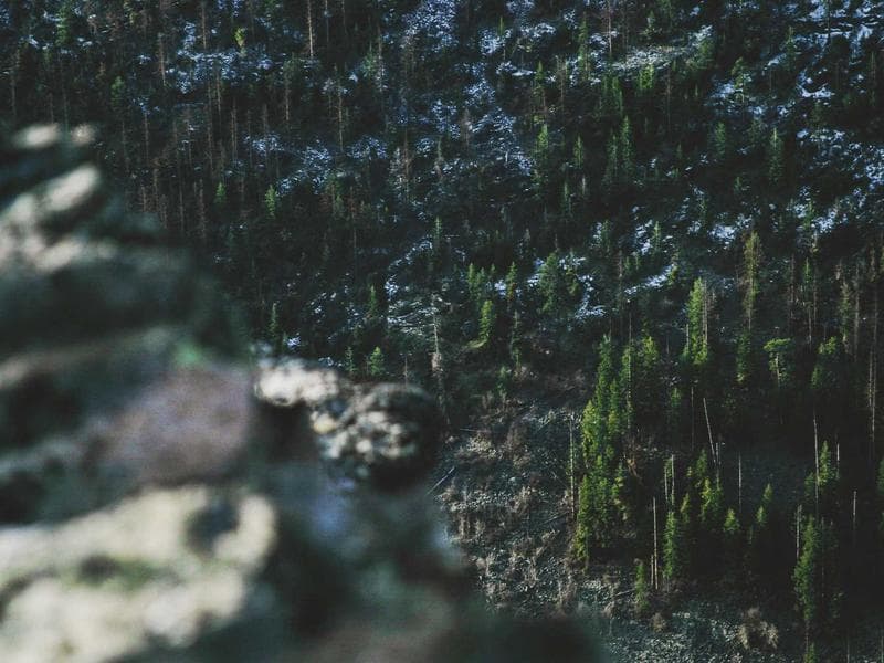 Paesaggio di Sesto Campano, Molise